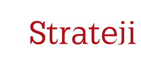 Strateji Grup